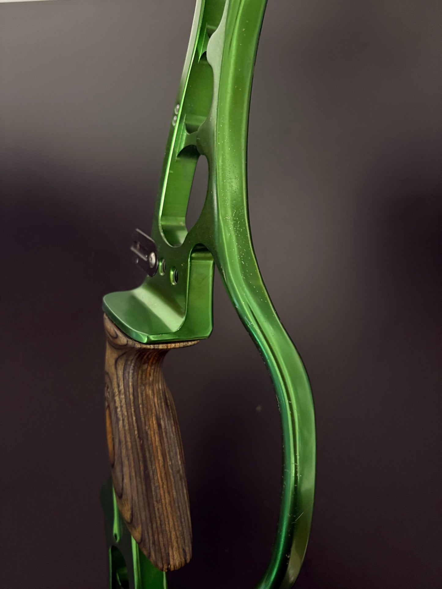Hoyt Riser Ion-X RH Green 25'' - Used