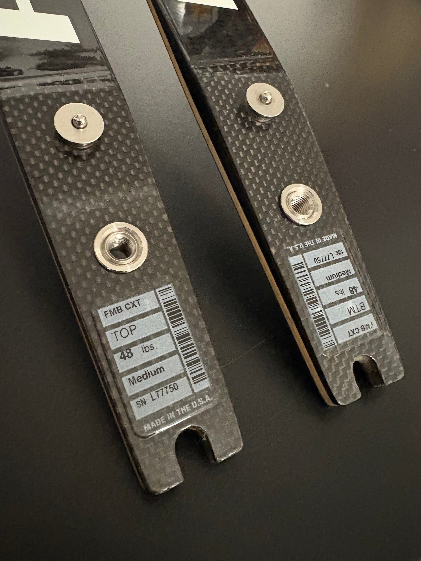 Hoyt X-Tour Formula Limbs Bamboo 68-48 lbs - Used (#219-220)