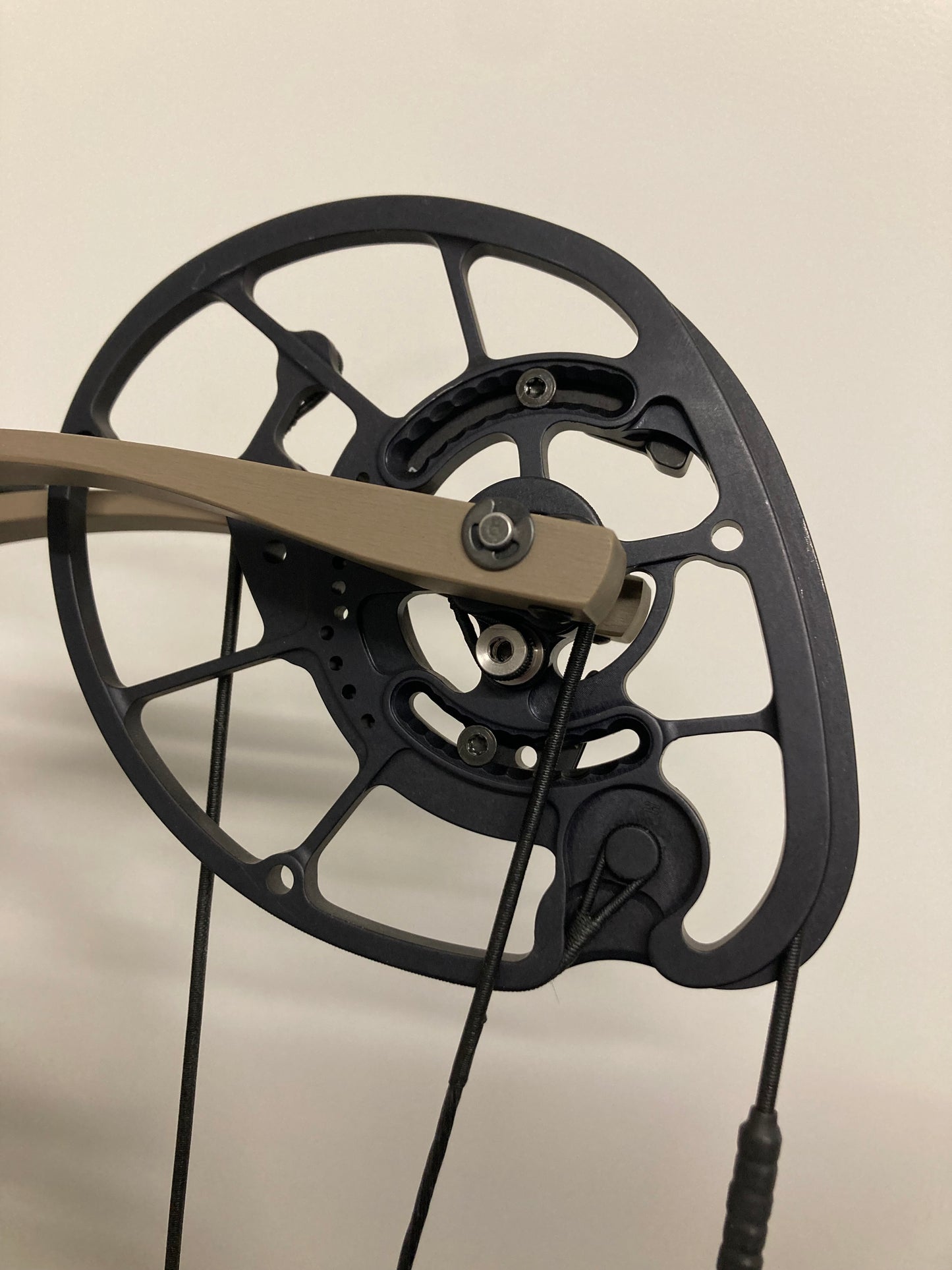 Hoyt RX5 Compound Bow RH Buckskin HBX 50-60 lbs - Show Model (#1.1)