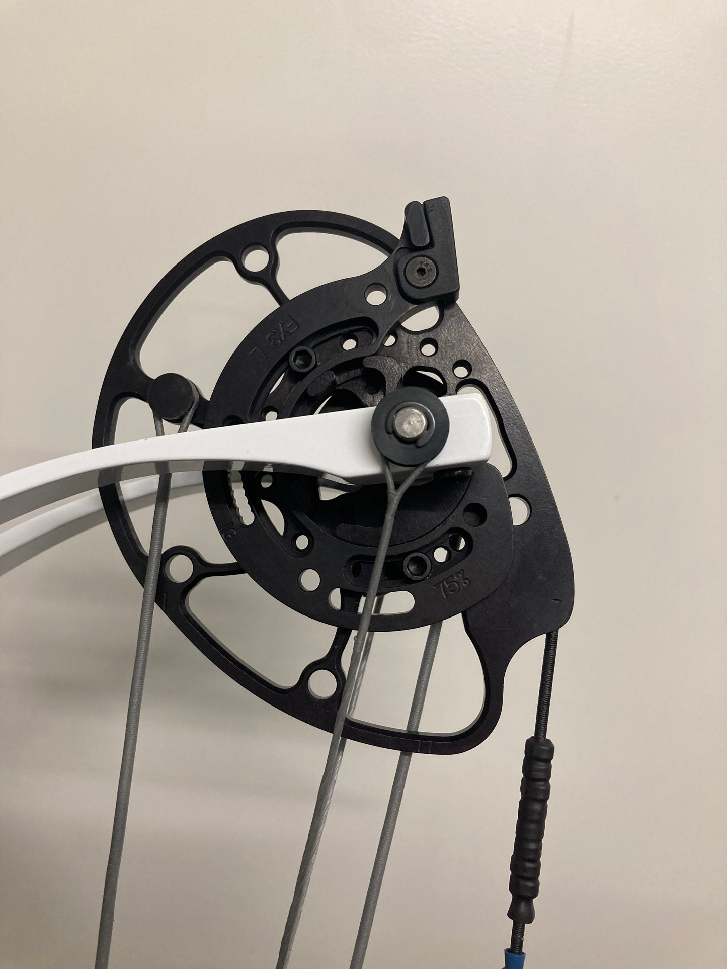 Darton Exodus Compound Bow LH/RH Teal 50-60 lbs - Used (#1.3)