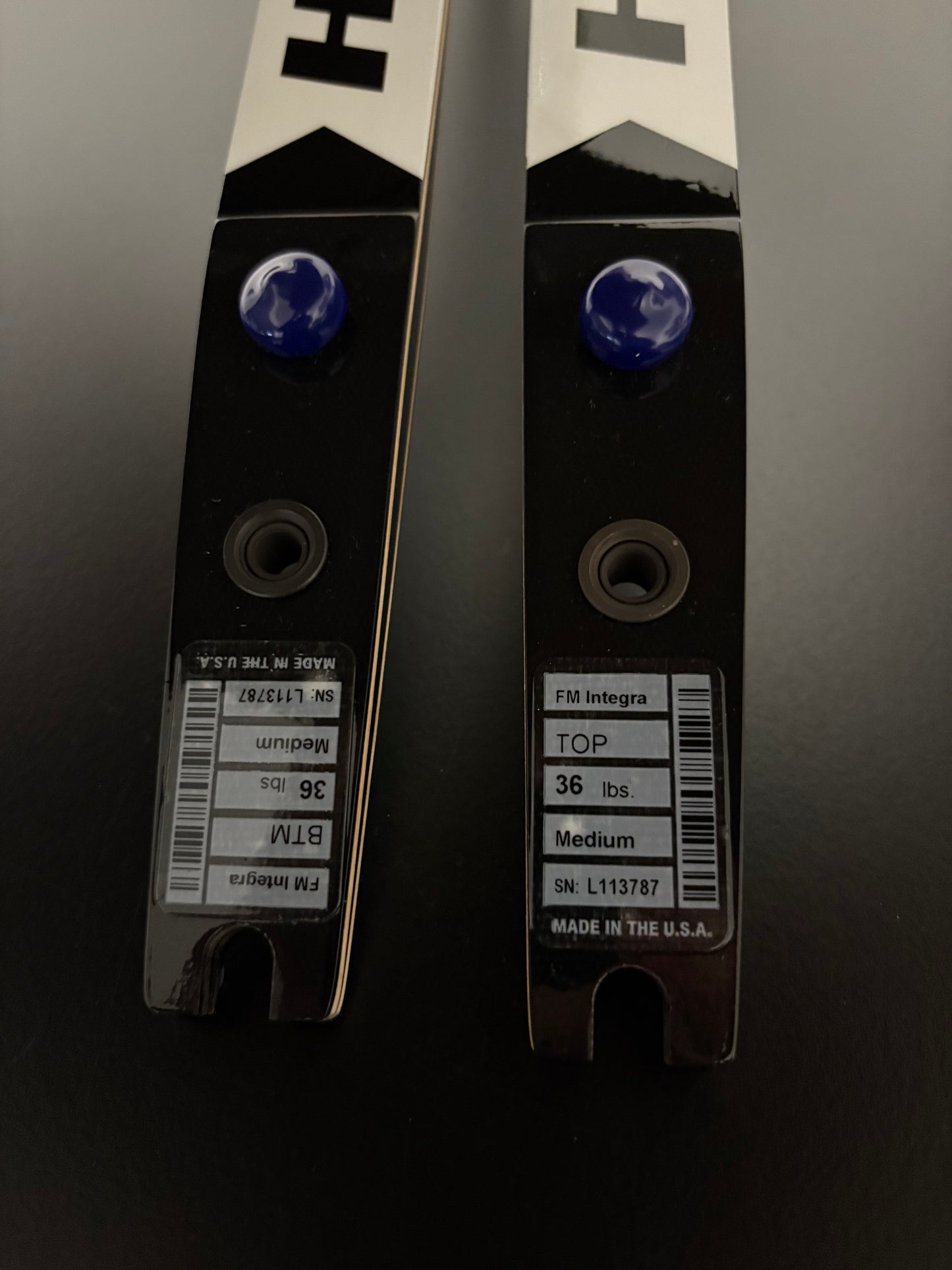 Hoyt Integra Formula Limbs 68-36 lbs - Show Model (#292)