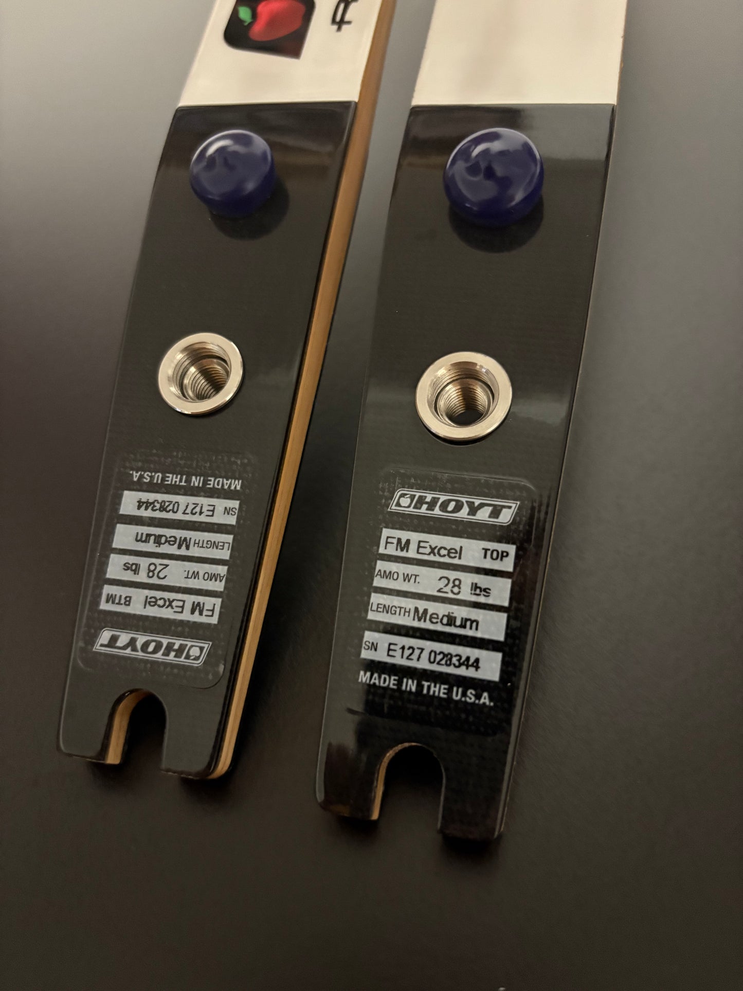 Hoyt Excel Formula Limbs 68-28 lbs - NEW (#309)