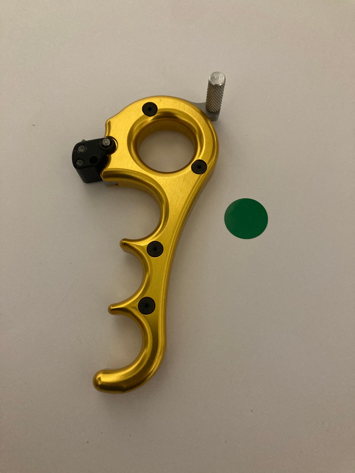 Carter Honey Hinge Release Gold Size L - Show Model (#34)