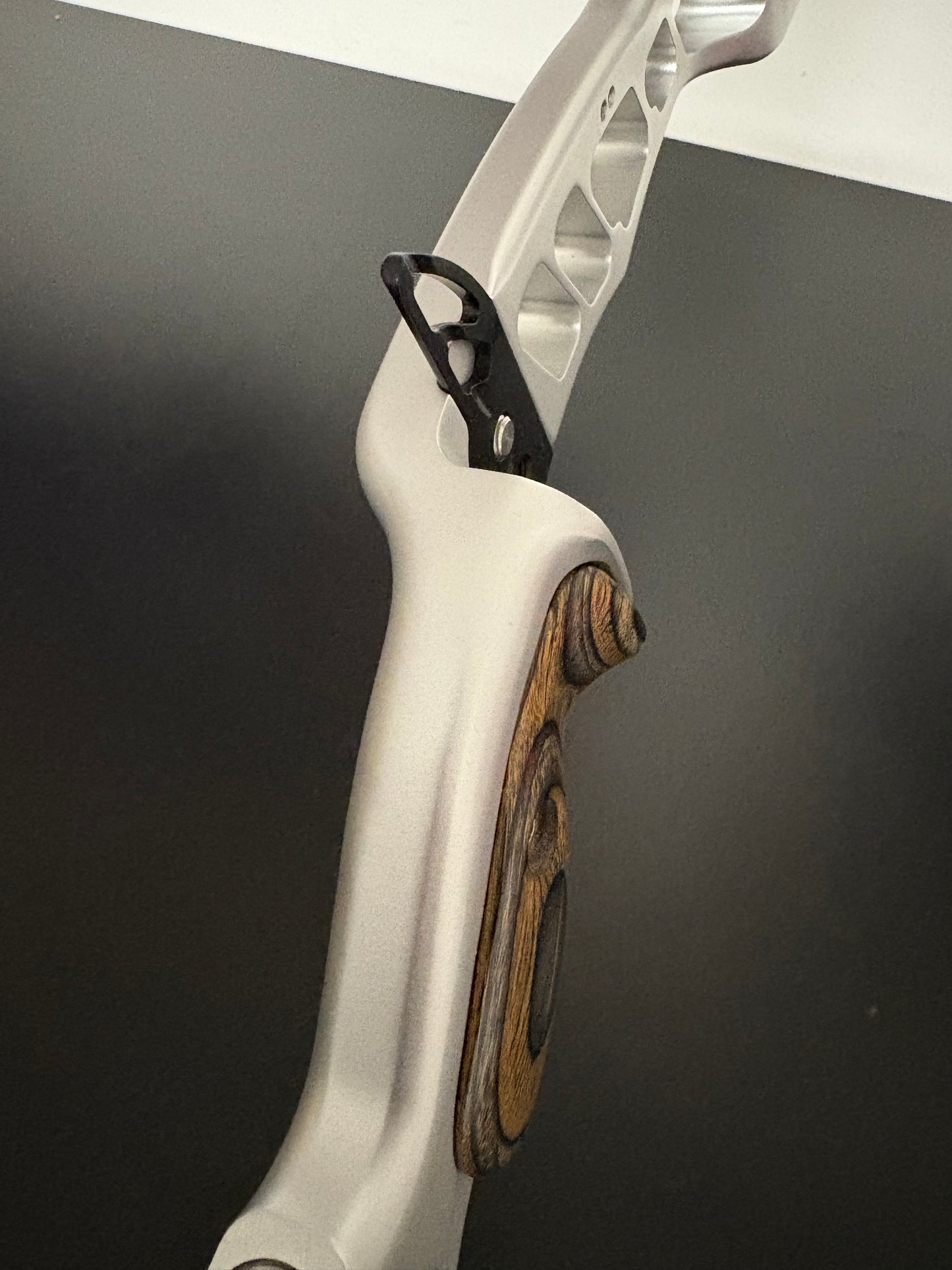 Hoyt Riser Prodigy RH Silver 25'' - Used