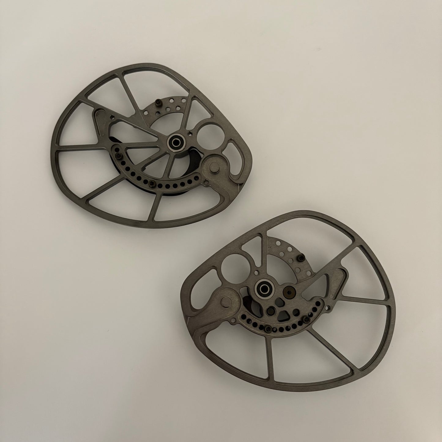 Bear LS6 Cam Set Including Modules - NEW (#219)
