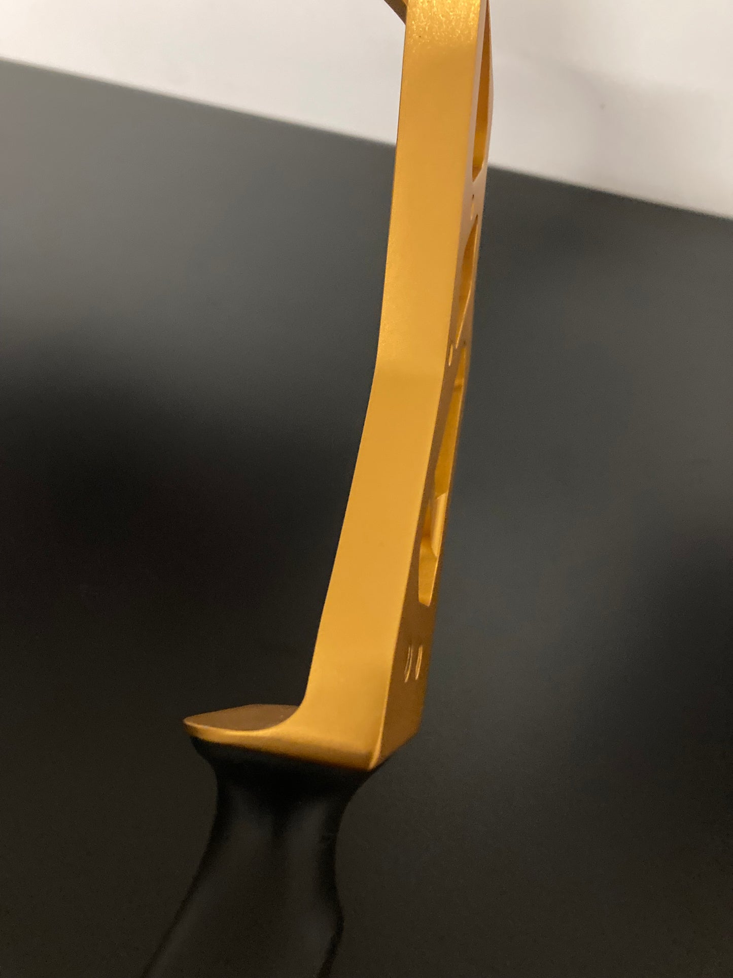 Sebastien Flute Riser Ignio ILF RH Gold 25'' - Used