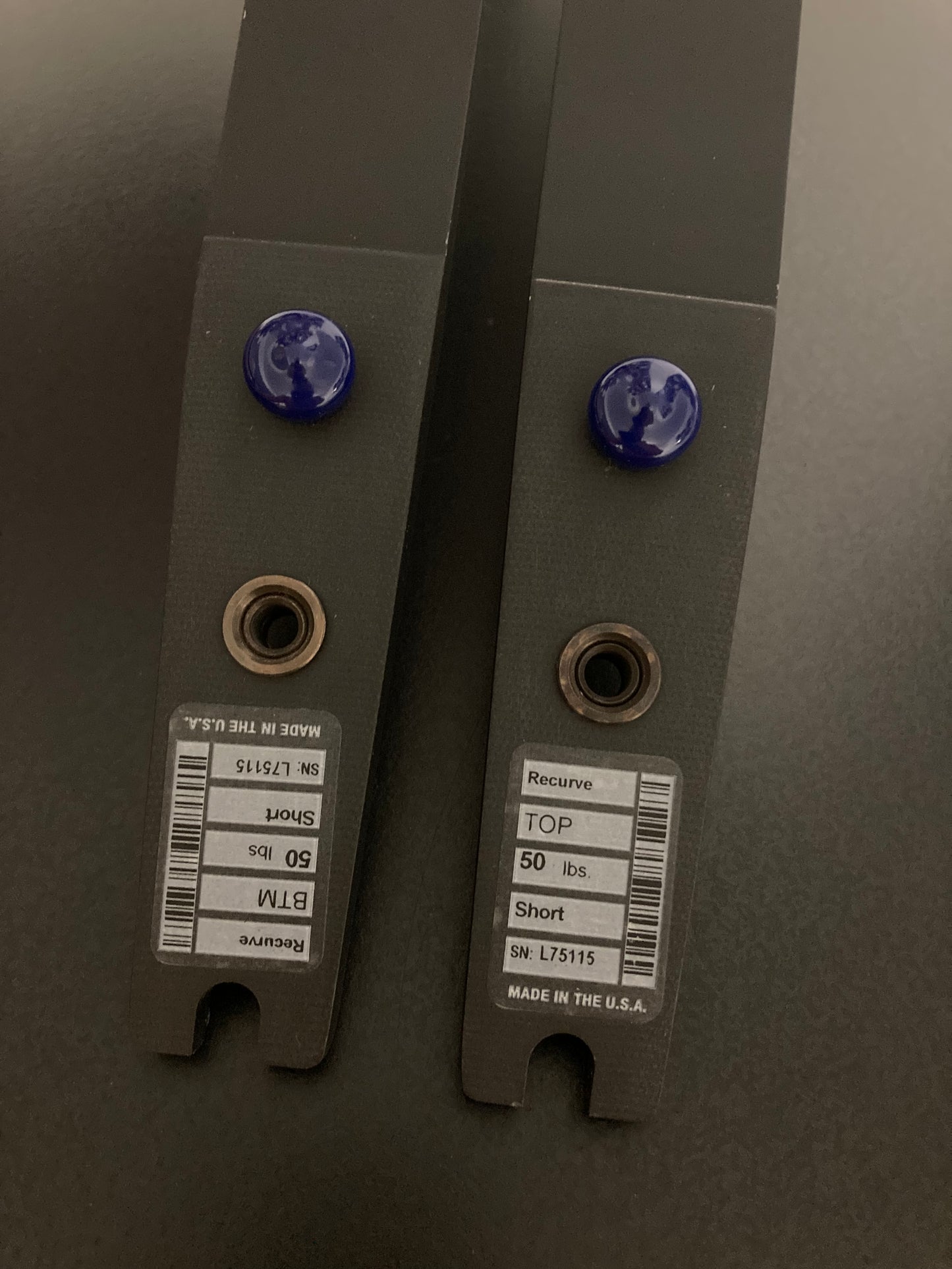 Hoyt Traditional Formula Limbs Black Short 50 lbs - Show Model (#141)