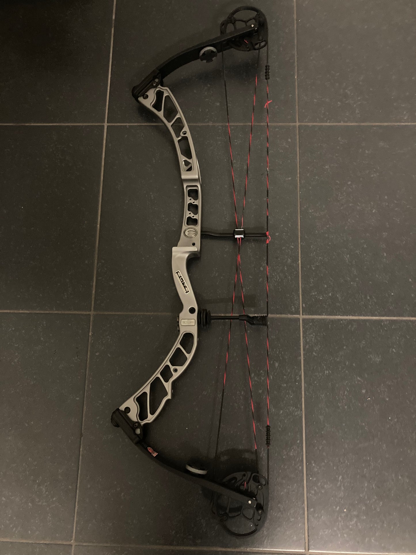 Elite Victory 39 Compound Bow RH Platinum 50-60 lbs - Used (1.1)