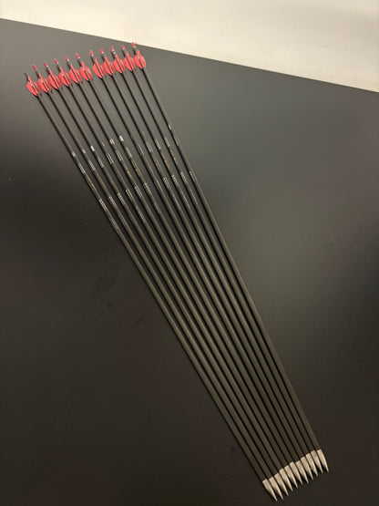 Easton ACG Carbon Arrow Set 11 pcs / Spine 430 / 29.75 inch - Used