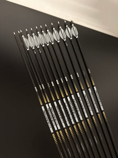 Easton X10 Parallel Pro 4MM Carbon Arrow Set 12 pcs / Spine 470 / 30.5 inch - Used
