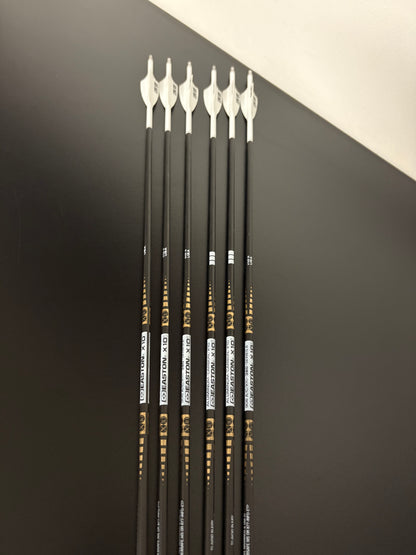 Easton X10 380 Carbon Arrows 73.1 cm - Used