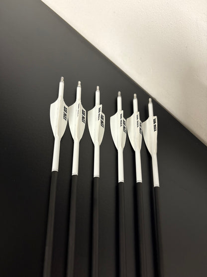 Easton X10 380 Carbon Arrows 73.1 cm - Used
