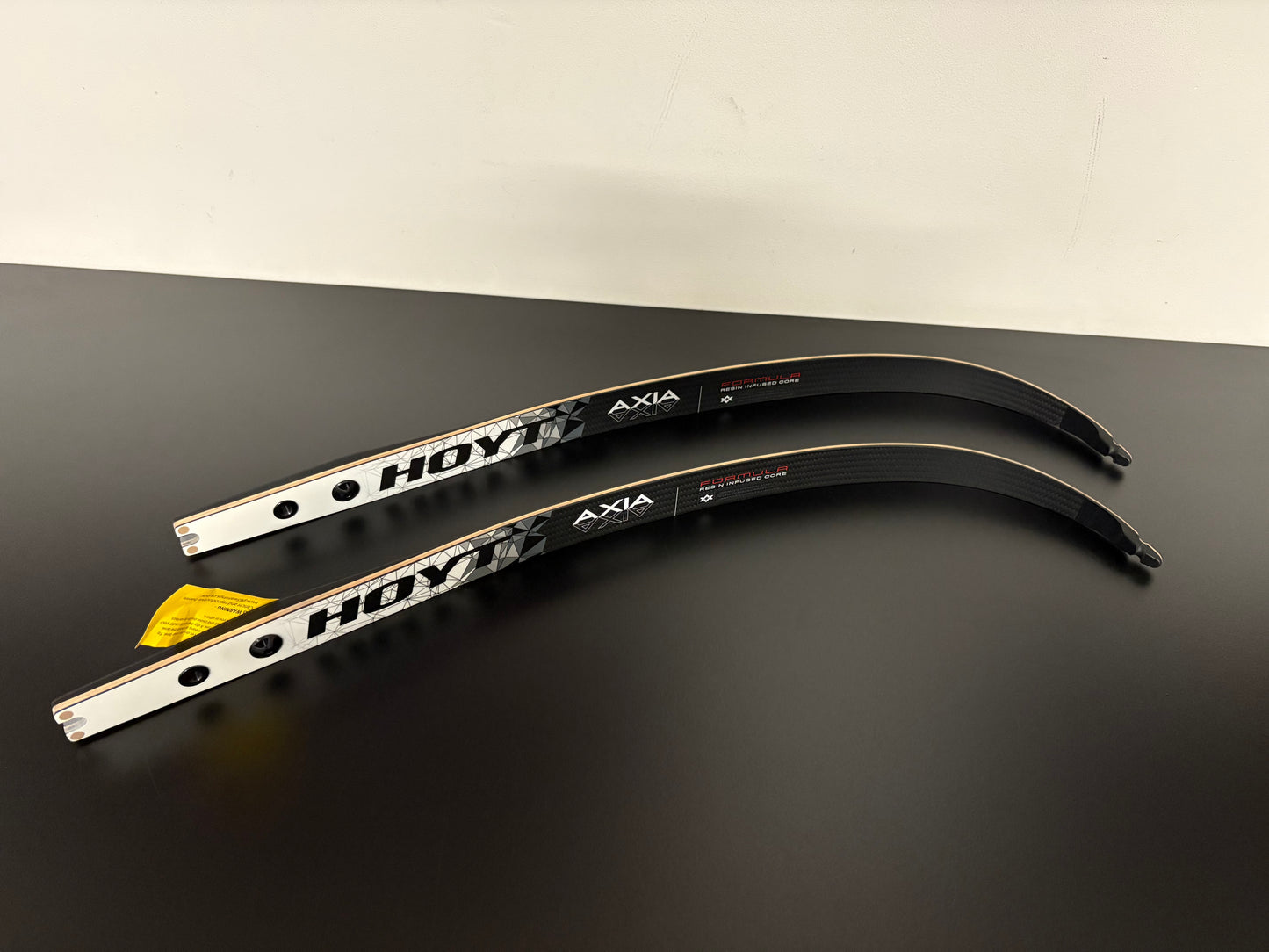 Hoyt Axia Formula Limbs Resin 70-36 lbs - NEW (#288)
