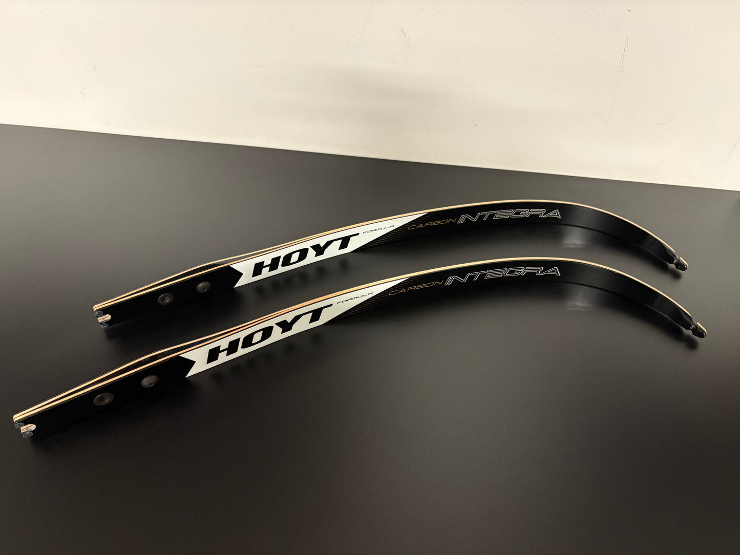 Hoyt Integra Formula Limbs 70-38 lbs - Used (#296)
