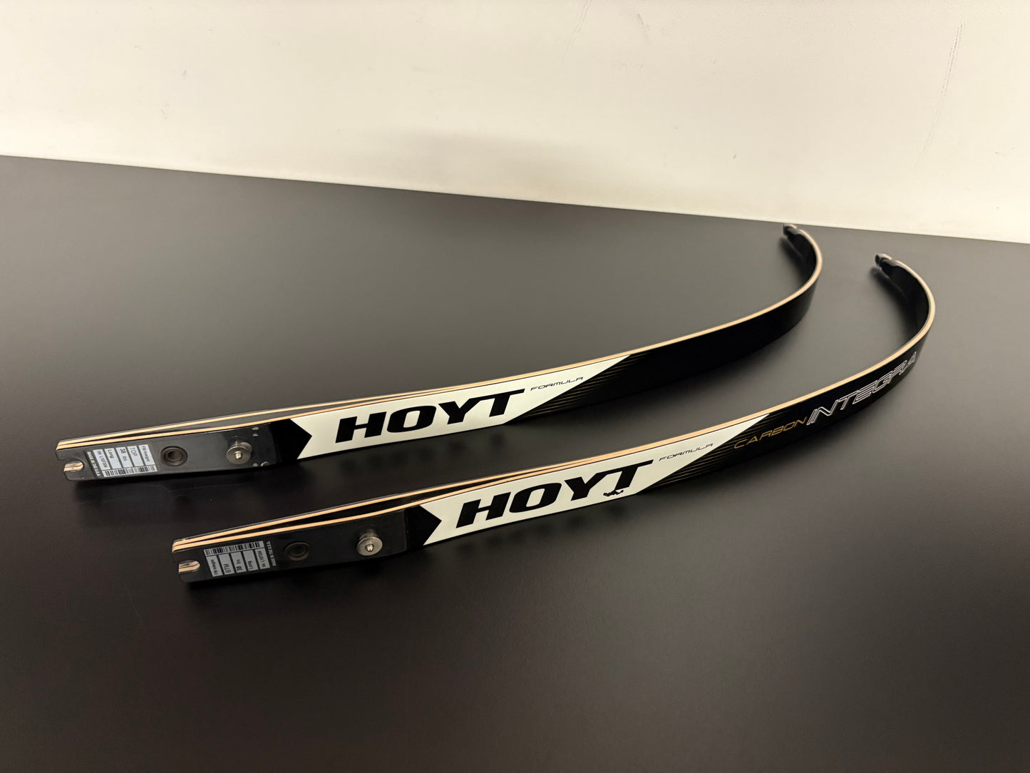 Hoyt Integra Formula Limbs 70-38 lbs - Used (#296)