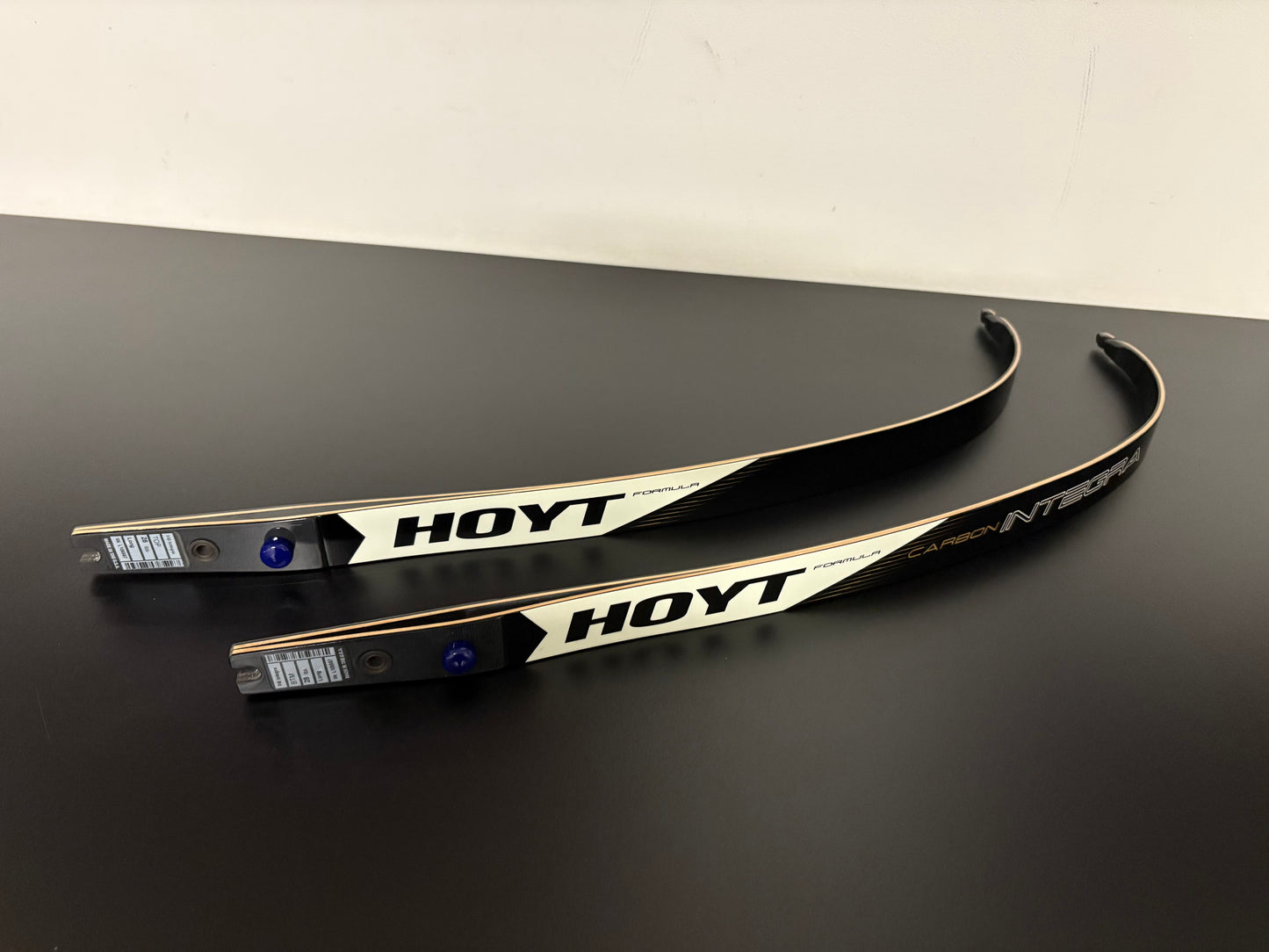 Hoyt Integra Formula Limbs 70-28 lbs - NEW (#293)
