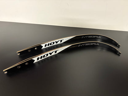 Hoyt Integra Formula Limbs 68-36 lbs - Used (#291)