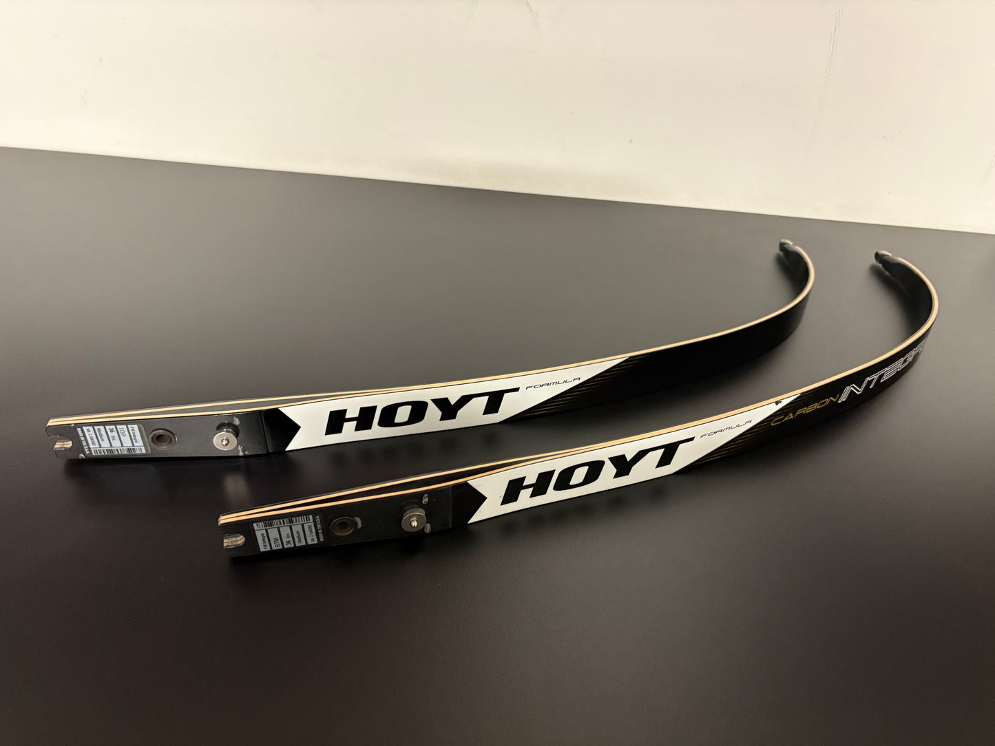 Hoyt Integra Formula Limbs 68-36 lbs - Used (#291)