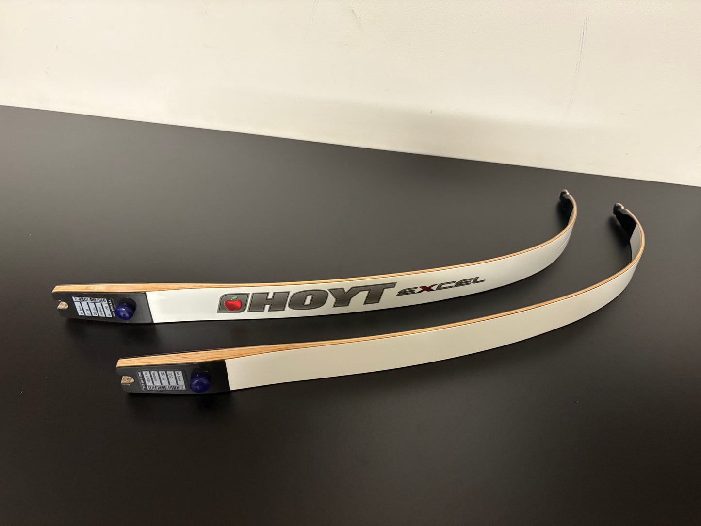 Hoyt Excel Limbs ILF 68-26 lbs - Show Model (#313)