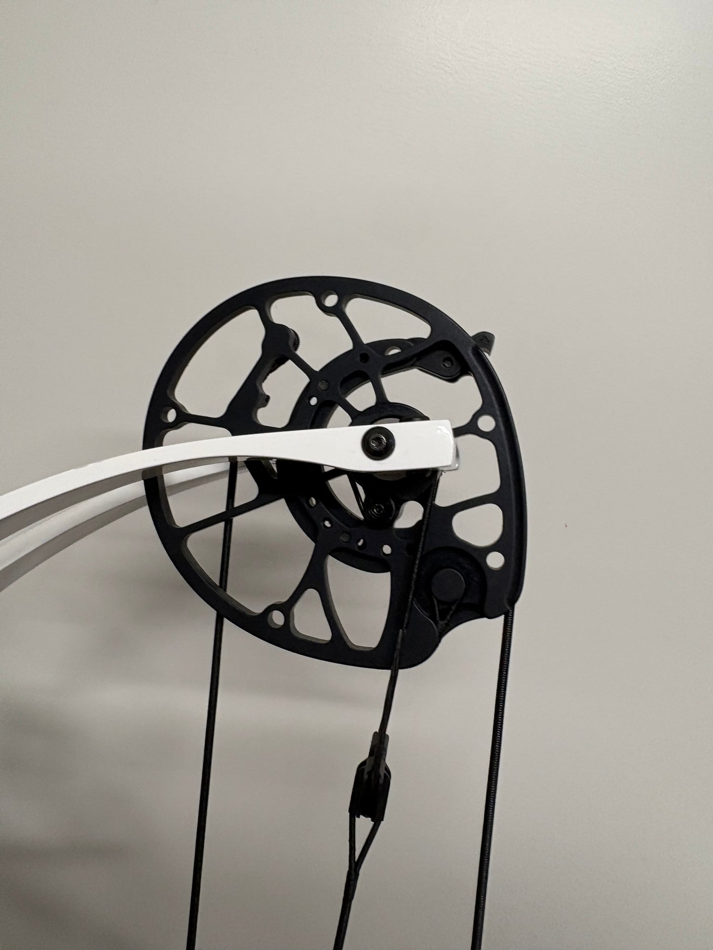 Hoyt Concept X 40 Compound Bow RH Blue on Black 50-60 lbs White Limbs - Show Model
