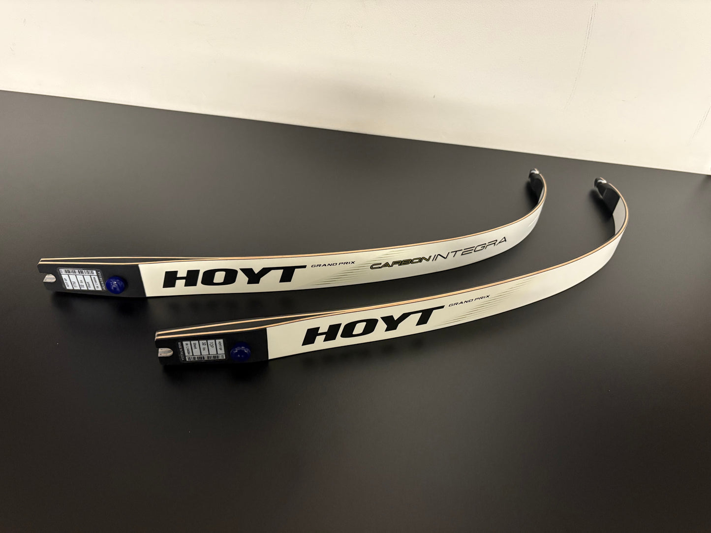 Hoyt Integra Limbs ILF 66-32 lbs - NEW (#307)