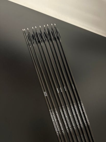 Easton ACE Arrow Set 10 pcs / Spine 400 / 30.125 inch - Used