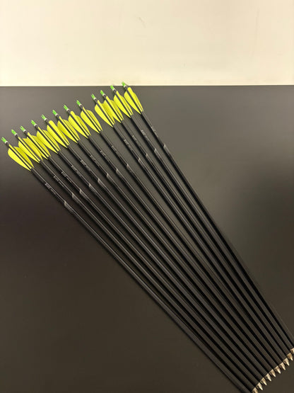 Easton Eclipse 2315 Aluminium Arrow Set - Used