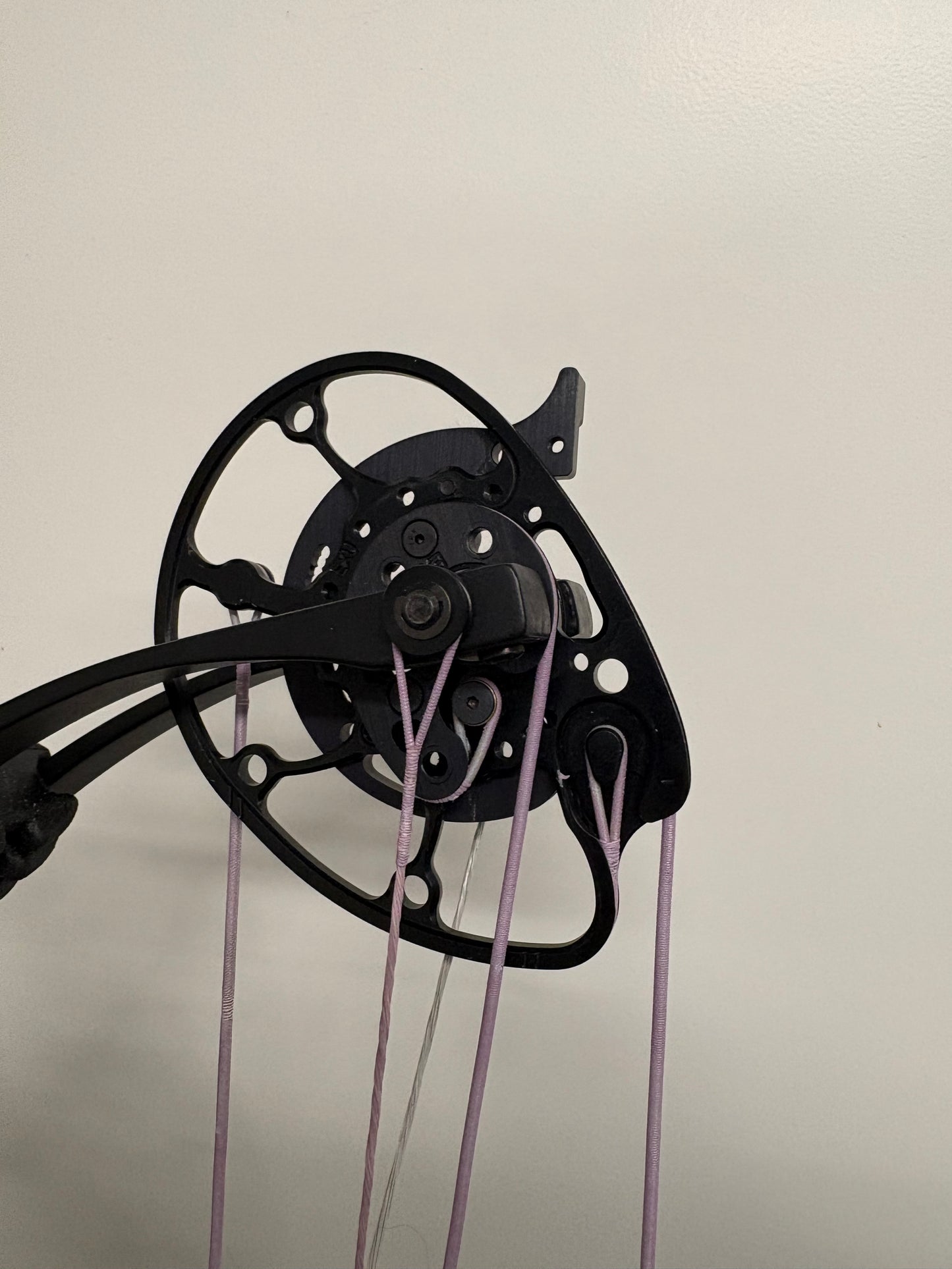 Darton Exodus Compound Bow RH/LH Black 50-60 lbs - Used (#1.3)