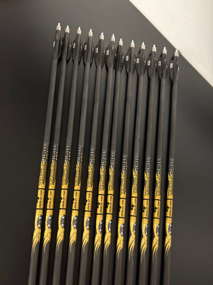 Gold Tip Ultralight Pro Carbon Arrows 12 pcs / Spine 300 / 29 5/8 inch - Used