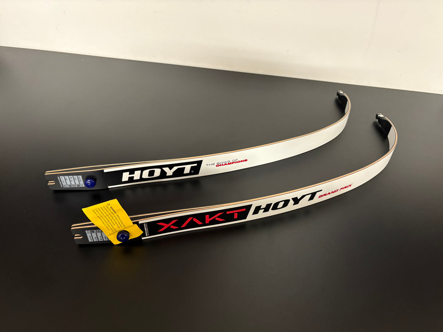 Hoyt Xakt Limbs ILF 70-30 lbs - Show Model (#273-274)