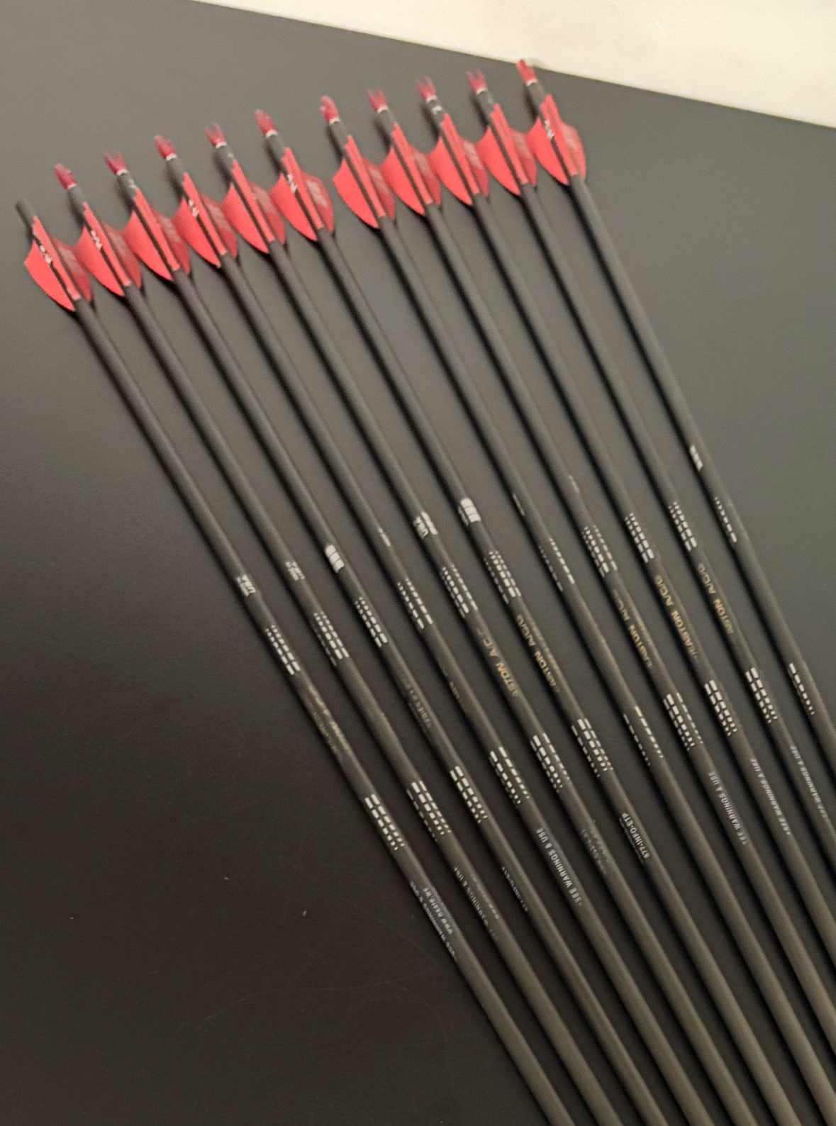 Easton ACG Carbon Arrow Set 11 pcs / Spine 430 / 29.75 inch - Used