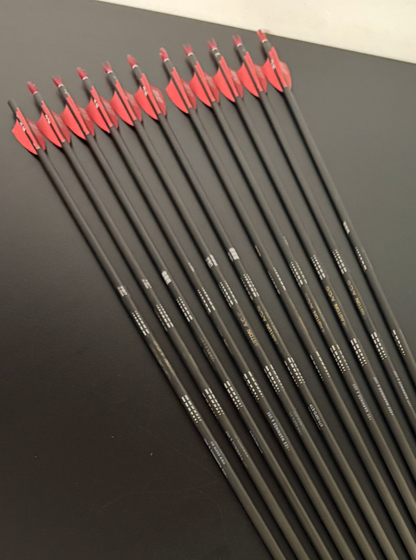 Easton ACG Carbon Arrow Set 11 pcs / Spine 430 / 29.75 inch - Used